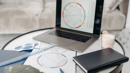 Product image for The Professional Astrologer