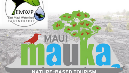 Product image for Maui Mauka Conservation Awareness Training ~ East Maui Watershed Partnership