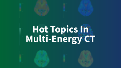 Product image for Hot Topics In Multi-Energy CT