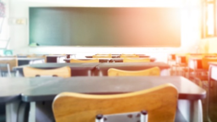 Product image for Assessment (for teacher use)