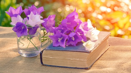 Product image for Selah Web Conference