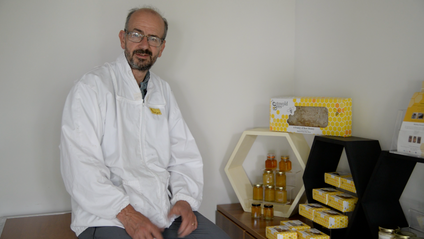 Product image for 101 Questions A New Beekeeper Should Ask