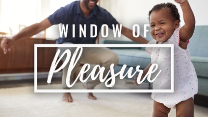 Product image for Window of Pleasure - Windows to the Father's Heart Series
