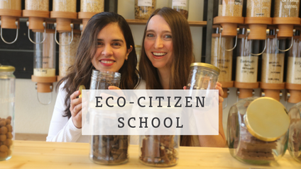 Product image for The Eco-Citizen School