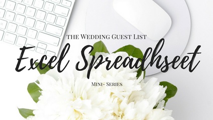 Product image for Wedding Guest List Excel Spreadsheet- Mini Series