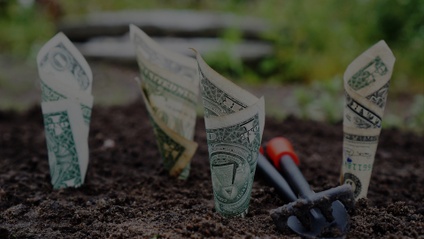 Product image for Heal Your Relationship with Money
