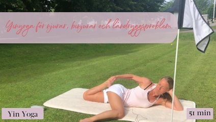 Product image for Yinyoga för njurar, binjurar och ländryggsproblem