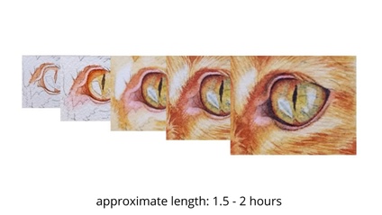Product image for Orange Cat Eye in Watercolor
