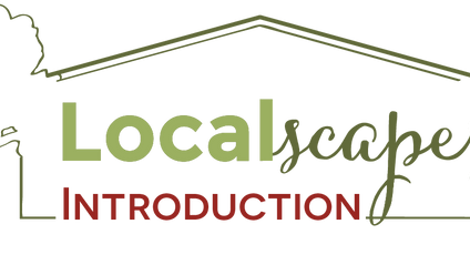 Product image for Introduction to Localscapes
