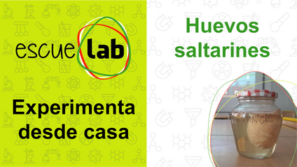 Product image for Huevos saltarines