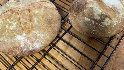 Product image for Rexburg Idaho Classes: Sourdough Class 1 & 2