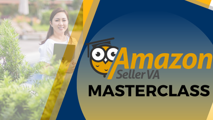 Product image for The Amazon Seller VA Masterclass