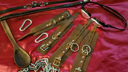 Product image for  BDSM And Kink Membership Program
