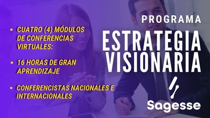 Product image for Programa Estrategia Visionaria - Navegando el cambio.