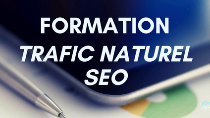 Product image for Trafic Naturel SEO