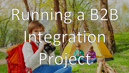 Product image for 104 - Run a B2B Integration Project