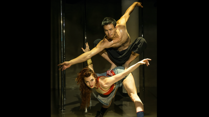 Product image for Open Dance Courses (Free)