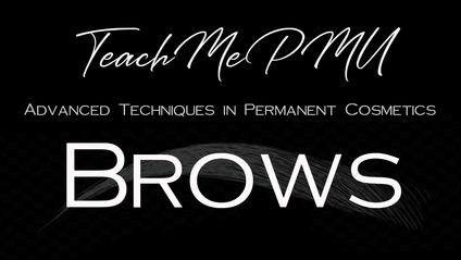 Product image for Advanced Techniques in Permanent Cosmetics BROWS