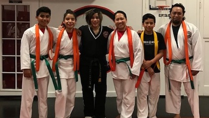 Product image for ORANGE TO GREEN BELT CURRICULUM