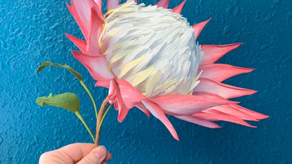 Product image for King Protea