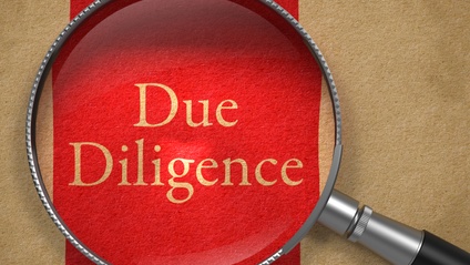 Product image for Due Diligence