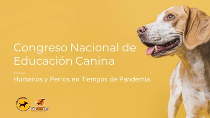 Product image for Primer Ciclo Nacional de Conferencias 2020 "Humanos y Perros en Pandemia"
