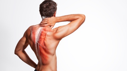 Product image for Hip, Pelvis and Spine Anatomy | ACE 0.2 CEC (中文字幕)