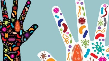 Product image for Meet your Microbiome 4-Week Course
