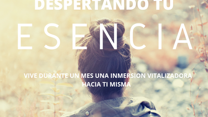 Product image for DESPERTANDO TU ESENCIA