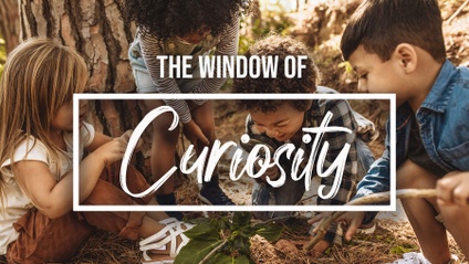 Product image for Window of Curiosity - Windows to the Father's Heart Series
