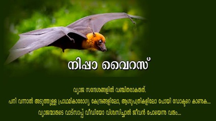 Product image for നിപ്പ - അടിസ്ഥാന വസ്തുതകൾ