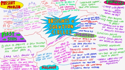 Product image for Insights and Solution Circles