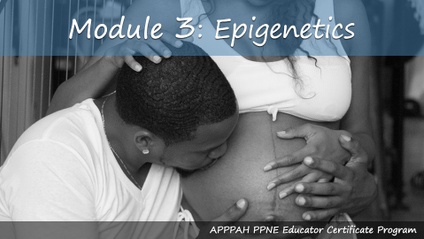 Product image for Module 3: Epigenetics