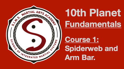 Product image for 10th Planet Fundamentals - The Arm Bar and Spiderweb