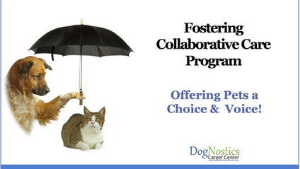Product image for Fostering Collaborative Care Instructor Program