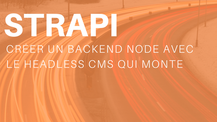 Product image for Strapi par la pratique