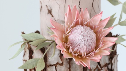 Product image for King Protea Tutorial