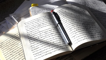 Product image for Write Like A Scholar: Write for Impact!