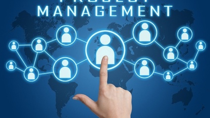 Product image for Project Management for Non-Project Managers – PM in the Life Sciences – Pharmaceutical/ Biotechnology and Medical Devices