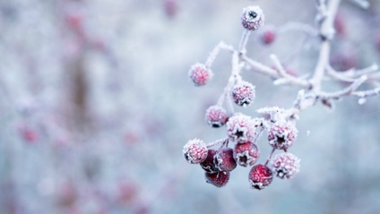 Product image for Winter Music Lessons for Holidays and Special Days