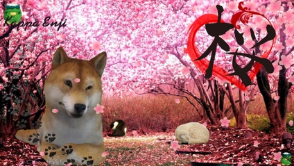 Product image for だから断韓なのだよ！