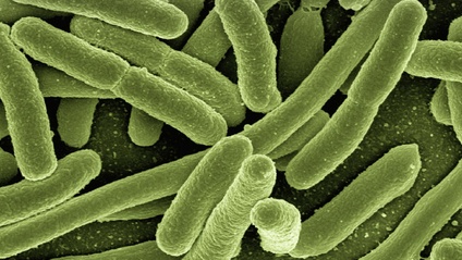 Product image for Advanced Probiotic Prescribing