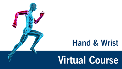 Product image for Versorgung von frischen Frakturen an Hand und Handgelenk - 2021