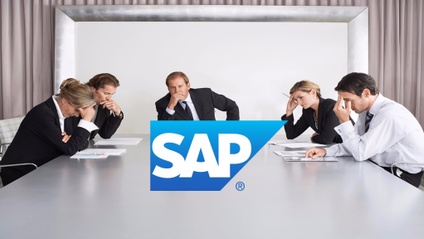 Product image for How to make your SAP project successful?
