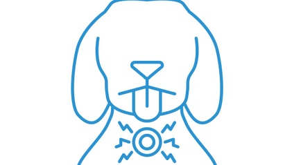 Product image for Gastroesophageal Reflux: An Under Recognized Source of Pain
