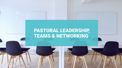 Product image for Pastoral Leadership, Teams & Networking.