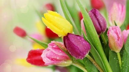 Product image for Spring Music Lessons for Holidays and Special Days