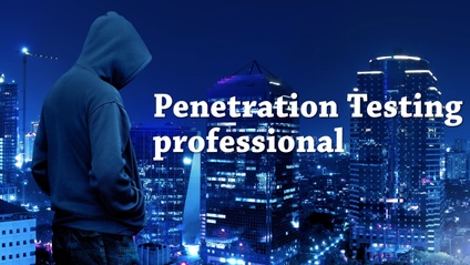 Product image for Real world hacking and penetration testing - Professional level