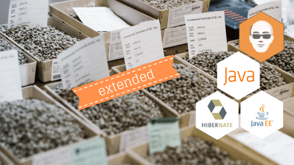 Product image for Java et les bases de données avec JDBC, Hibernate et JPA
