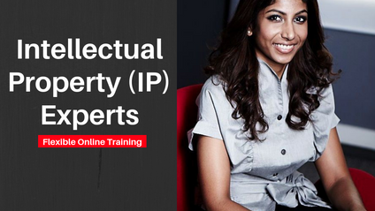 Product image for (English) The Intellectual Property (IP) Experts by KASS International Sdn Bhd by KASS International Sdn Bhd